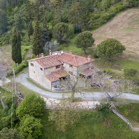 Fattoria Di Cintoia Villa Pontassieve Ngoại thất bức ảnh