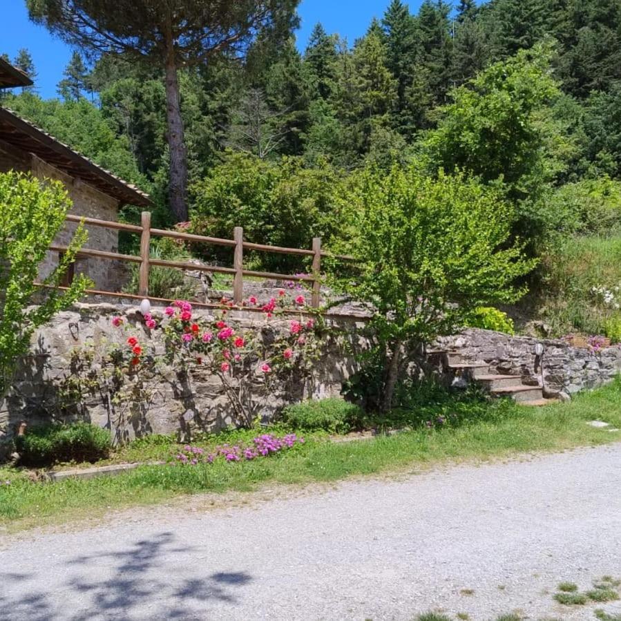 Fattoria Di Cintoia Villa Pontassieve Ngoại thất bức ảnh