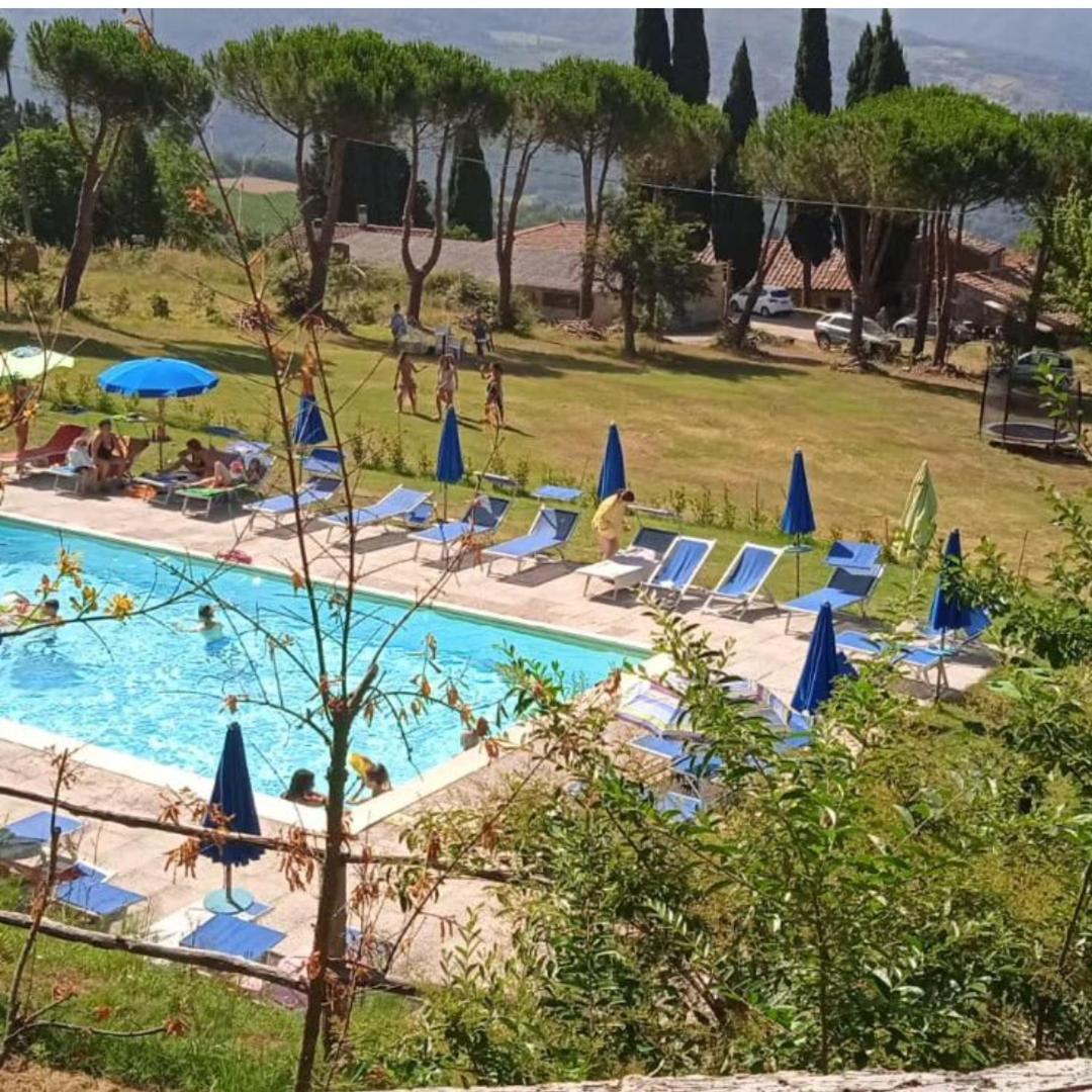 Fattoria Di Cintoia Villa Pontassieve Ngoại thất bức ảnh