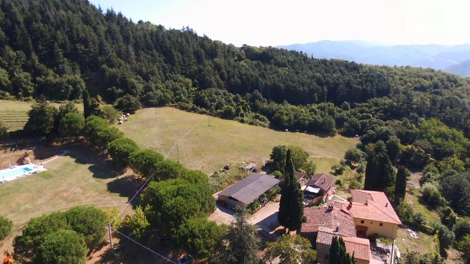 Fattoria Di Cintoia Villa Pontassieve Ngoại thất bức ảnh