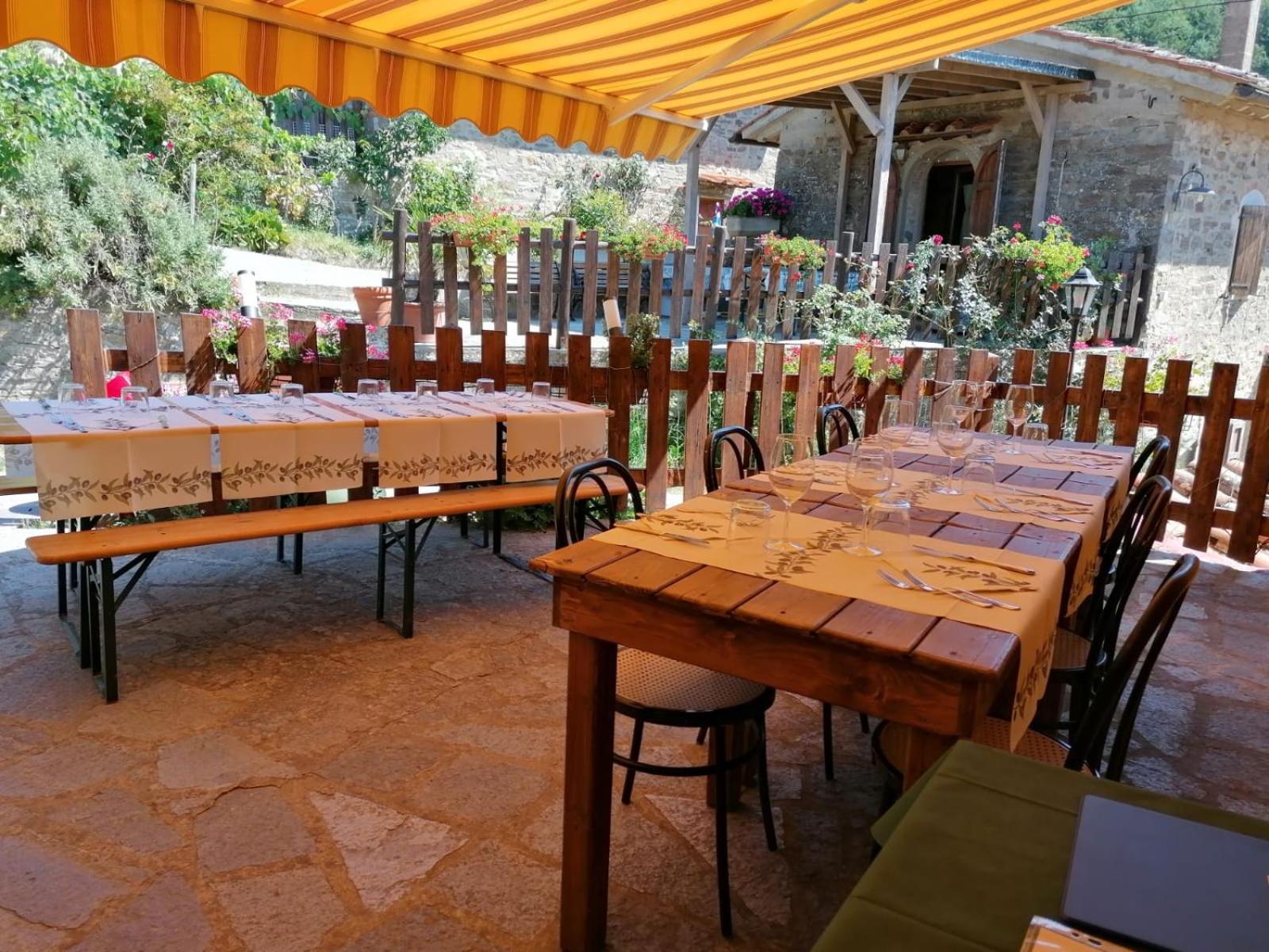 Fattoria Di Cintoia Villa Pontassieve Ngoại thất bức ảnh