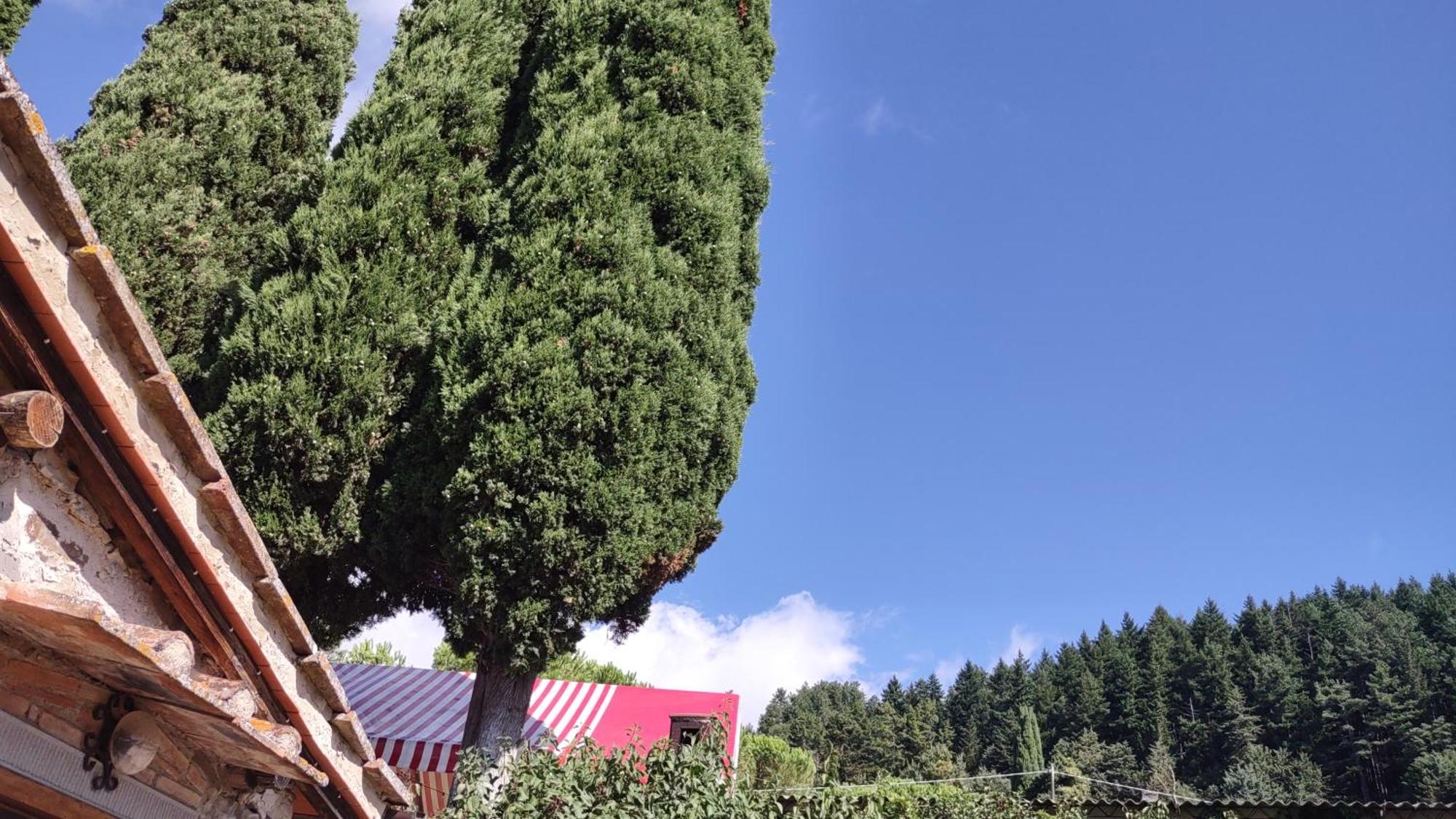 Fattoria Di Cintoia Villa Pontassieve Ngoại thất bức ảnh