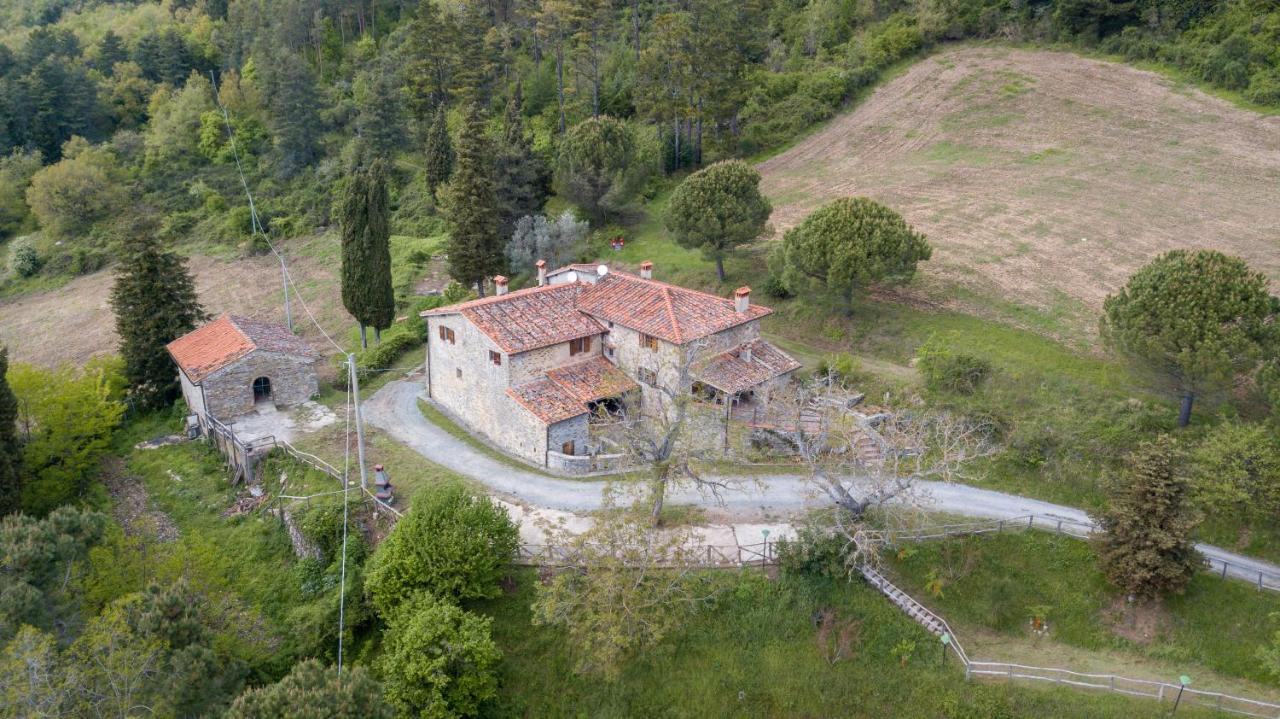 Fattoria Di Cintoia Villa Pontassieve Ngoại thất bức ảnh