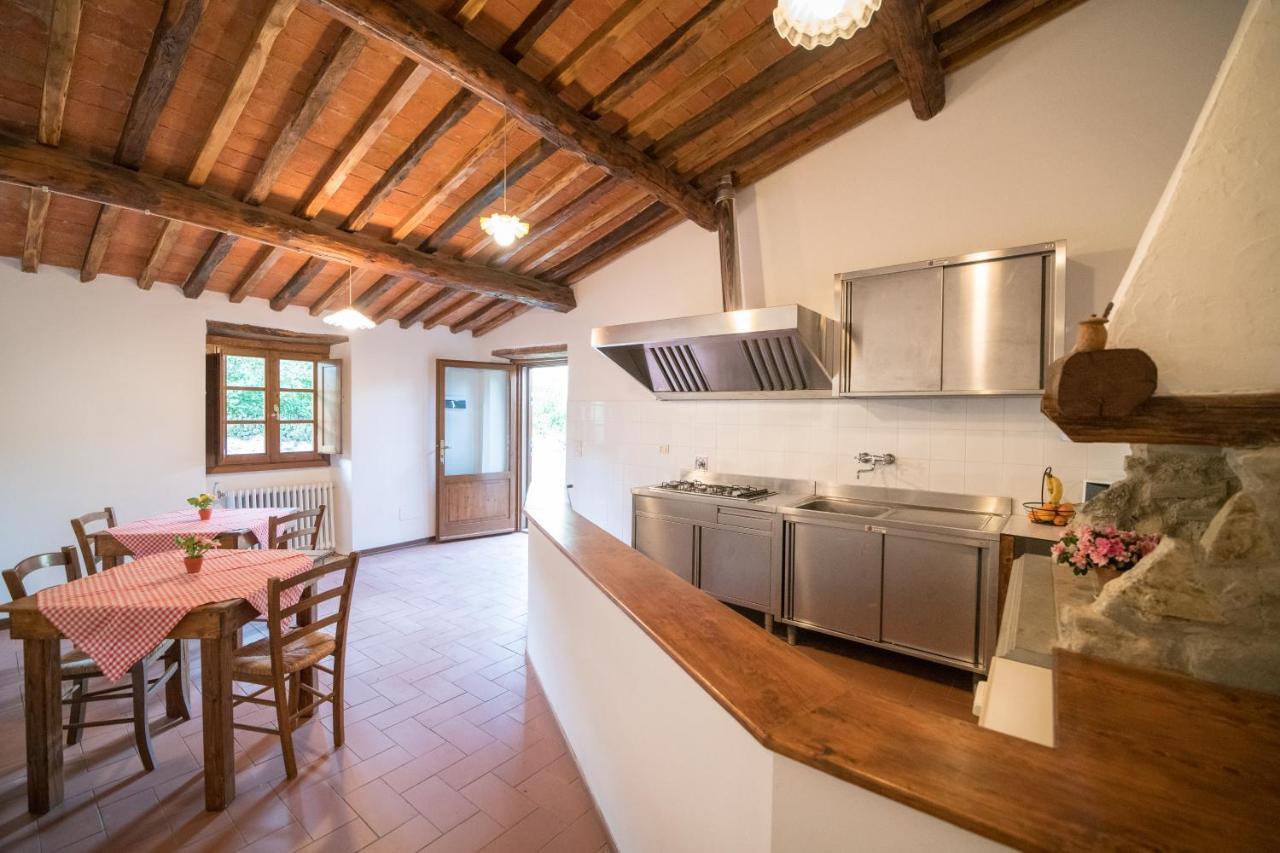 Fattoria Di Cintoia Villa Pontassieve Ngoại thất bức ảnh