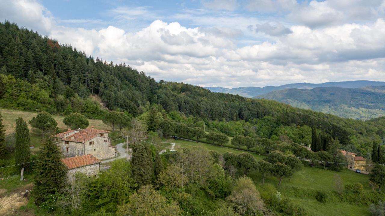 Fattoria Di Cintoia Villa Pontassieve Ngoại thất bức ảnh