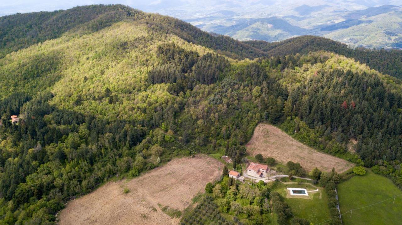 Fattoria Di Cintoia Villa Pontassieve Ngoại thất bức ảnh