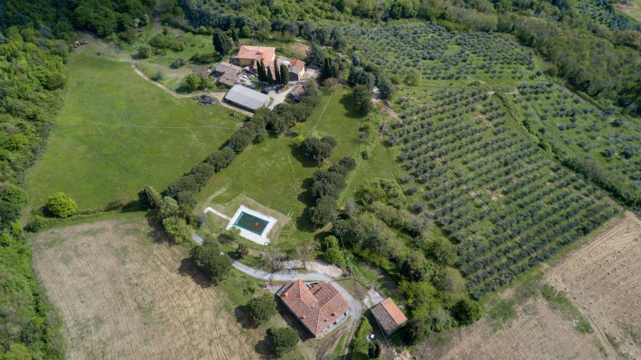 Fattoria Di Cintoia Villa Pontassieve Ngoại thất bức ảnh