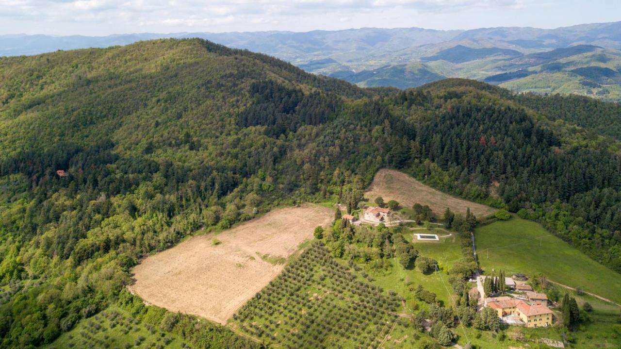 Fattoria Di Cintoia Villa Pontassieve Ngoại thất bức ảnh